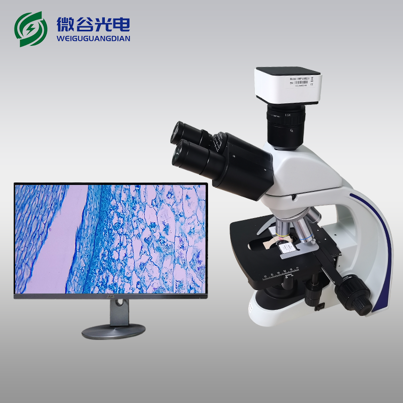 三目生物顯微鏡的成像原理